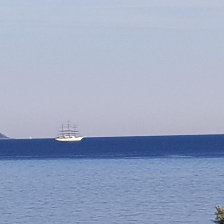 Vieille Ville D Ajaccio De 1 A 4 Pers A 300M Du Port Et A 15 Mn De Laeroport Proches De Plus Belles Plages Et Ttes Commodites A Proximite Dış mekan fotoğraf