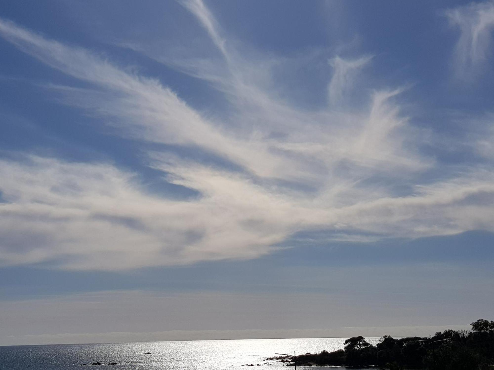Vieille Ville D Ajaccio De 1 A 4 Pers A 300M Du Port Et A 15 Mn De Laeroport Proches De Plus Belles Plages Et Ttes Commodites A Proximite Dış mekan fotoğraf